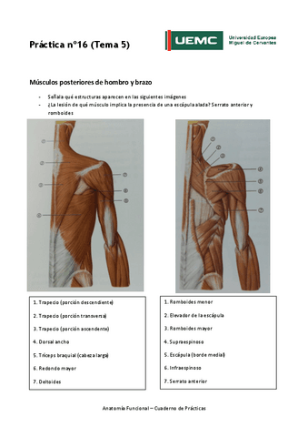 Practica-no16-resultados.pdf