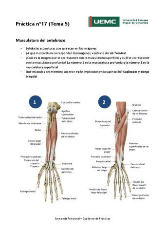 Practica-no17-resultados.pdf