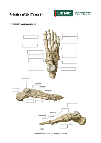 Practica-no20.pdf