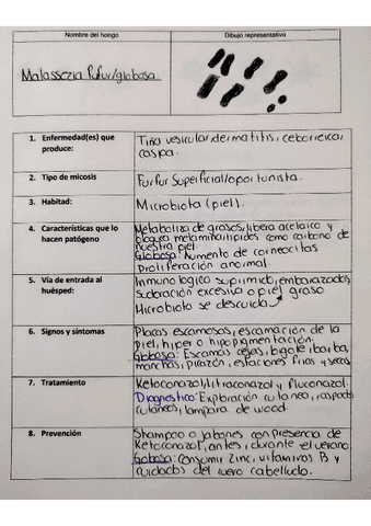 malassezia-globosa.pdf