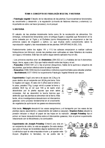 primer-parcial.pdf