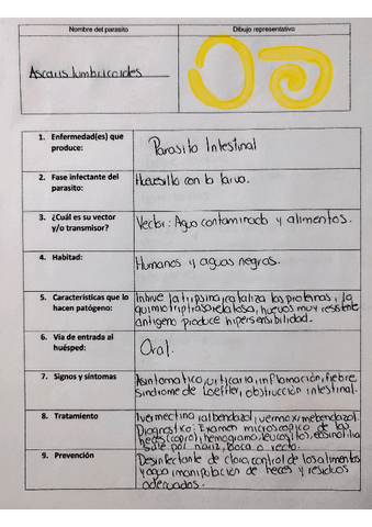 ascaris-lumbricoides.pdf