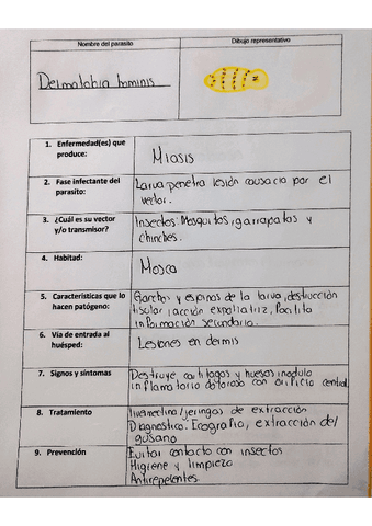 delmatobia-hominis.pdf