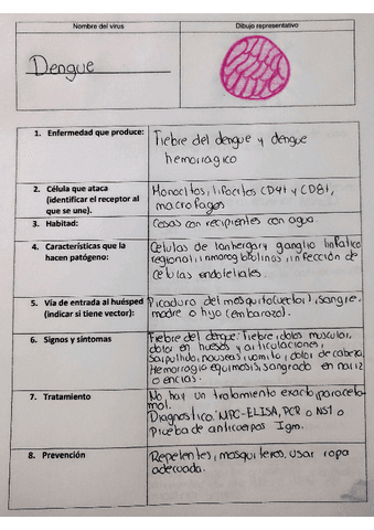 dengue.pdf