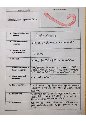 enterobius-vermicularis.pdf