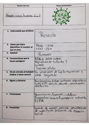 herpes-virus-humana-6-y-7.pdf
