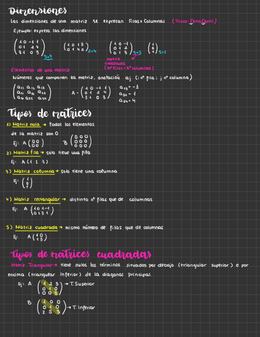 Matrices.pdf