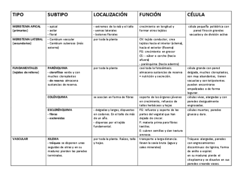 TABLA-TJIDOS-VEGETALES.pdf