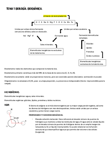 TEMA-1-BIO.pdf