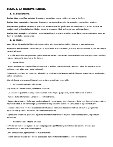 TEMA-4.pdf