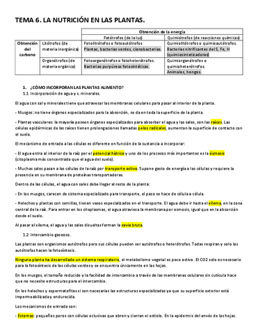 TEMA-6.pdf