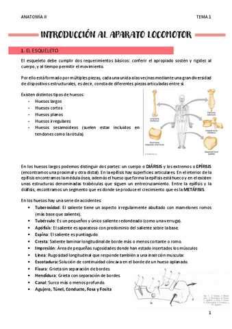 INTRODUCCION-AL-APARATO-LOCOMOTOR-T1.pdf