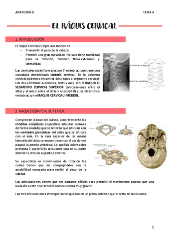 EL-RAQUIS-CERVICAL-T4.pdf