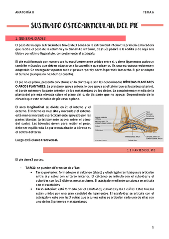 SUSTRATO-OSTEOARTICULAR-PIE-Y-TOBILLO-T6.pdf