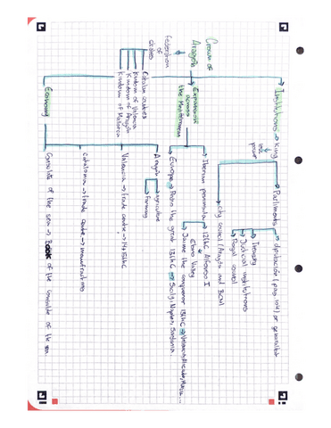 Crowns-of-castille-and-aragon.pdf