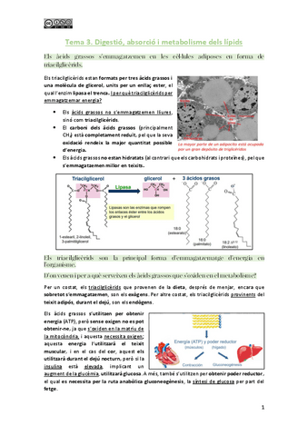 Tema-3-Digestio-absorcio-i-metabolisme-dels-lipids.pdf