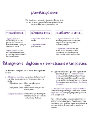 plurilinguismo-literatura-medieval gallega.pdf