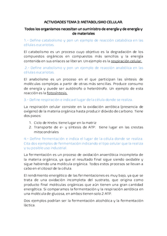 ACTIVIDADES-TEMA-3.pdf