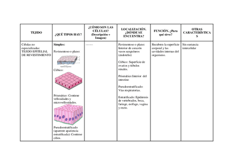 HISTOLOGIA-ANIMAL.pdf