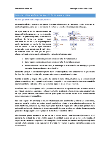 Tema-24.pdf