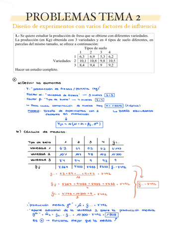 TEMA-2-EJERCICIOS.pdf