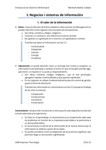 1.-Negocios-y-sistemas-de-informacion-Apunts.pdf