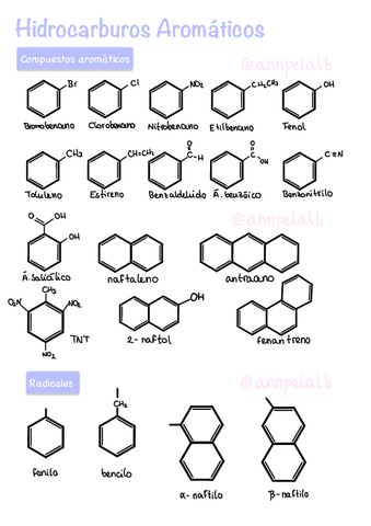 T3-Hidrocarburos-Aromaticos.pdf