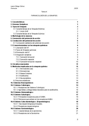 T.4-Sinapsis.pdf