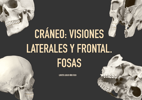 PRACTICA-3-VISIONES-LATERALES-Y-FRONTAL.-FOSAS.pdf