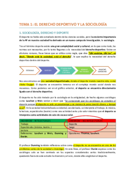 RESUMEN CONTENIDO EXAMEN.pdf