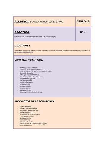 PRACTICA-1.pdf