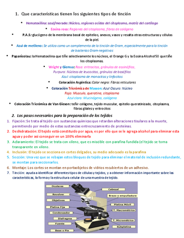 Tinciones-Histologicas.pdf