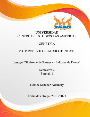 Ensayo-3-Sindrome-de-Turner-y-sindrome-de-Down.pdf
