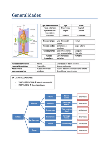 APUNTES-TABLAS-TODO-EL-CURSO.pdf