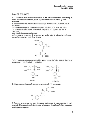 HOJA-DE-EJERCICIOS-2-2022-2023.pdf