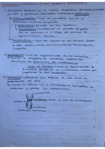 Esquema-mitosis-cromatina-meiosis-y-division-celular.pdf