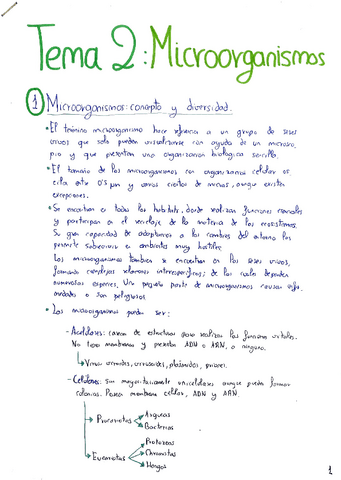 Microorganismos.pdf
