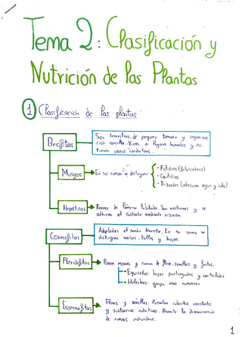 Clasificacion-y-nutricion-de-las-plantas..pdf