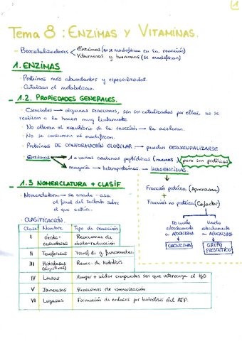 APUNTES-BIO-TEMA-8-ENZIMAS-Y-VITAMINAS.pdf