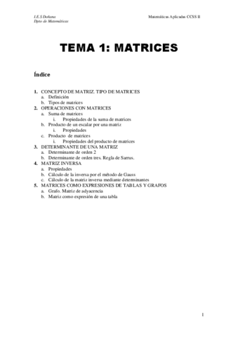 MATRICES.pdf