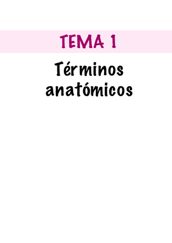 ANATOMIA-1-y-2.pdf