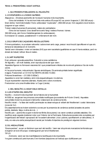HISTORIA-DESPANYA-TEMES-1-I-2.pdf