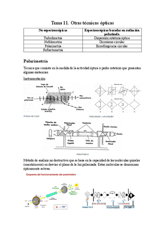 Resumen-Tema-11.pdf