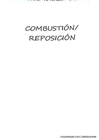 Combustion-y-reposicion-ejercicios-RESUELTOS.pdf