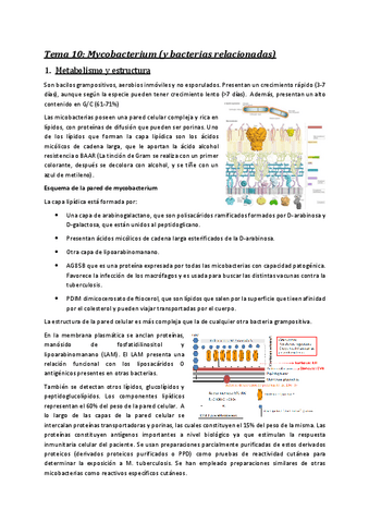 Tema 10 micro.pdf