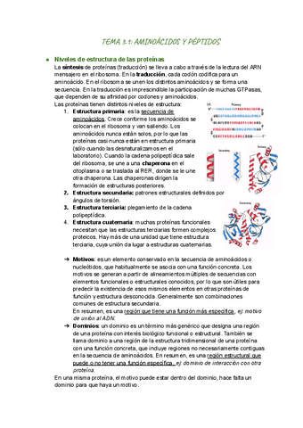 bloque-3-proteínas.pdf