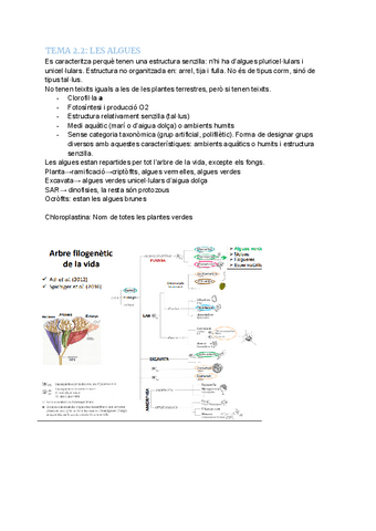 TEMA-2.2-LES-ALGUES.pdf