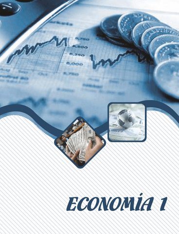 Economia-TEMAS-DESARROLLADOS.pdf
