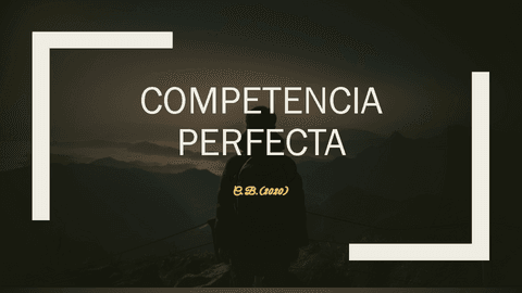 COMPETENCIA-PERFECTA.pdf