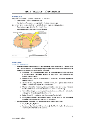 TEMA-3-micro.pdf